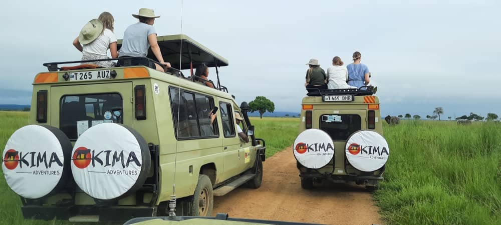 Kima Adventures Image