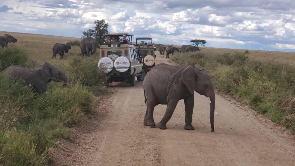 3-DAY SAFARI TO DISCOVER THE WONDERS OF NORTHERN TANZANIA